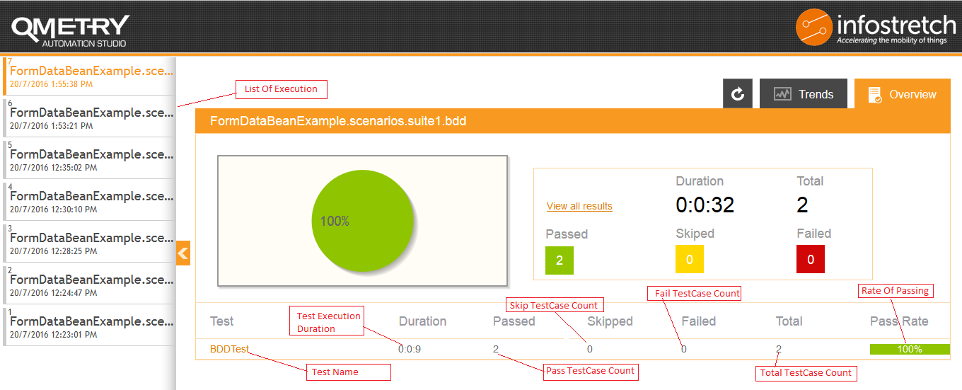 Test Case Execution Summary