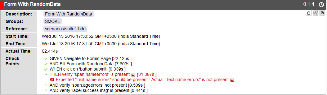 Test Case Execution Report 