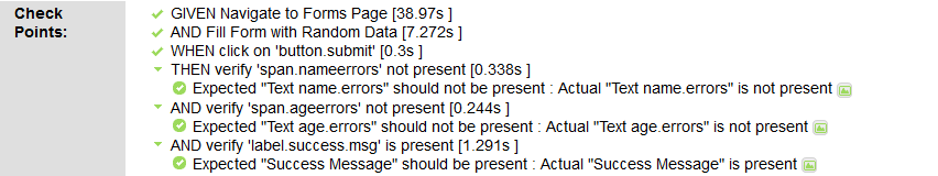 Test Case Execution Report 